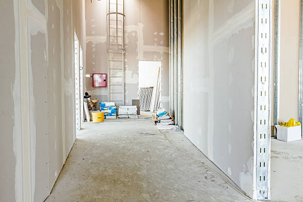 Best Drywall Sanding and Smoothing  in Southern View, IL